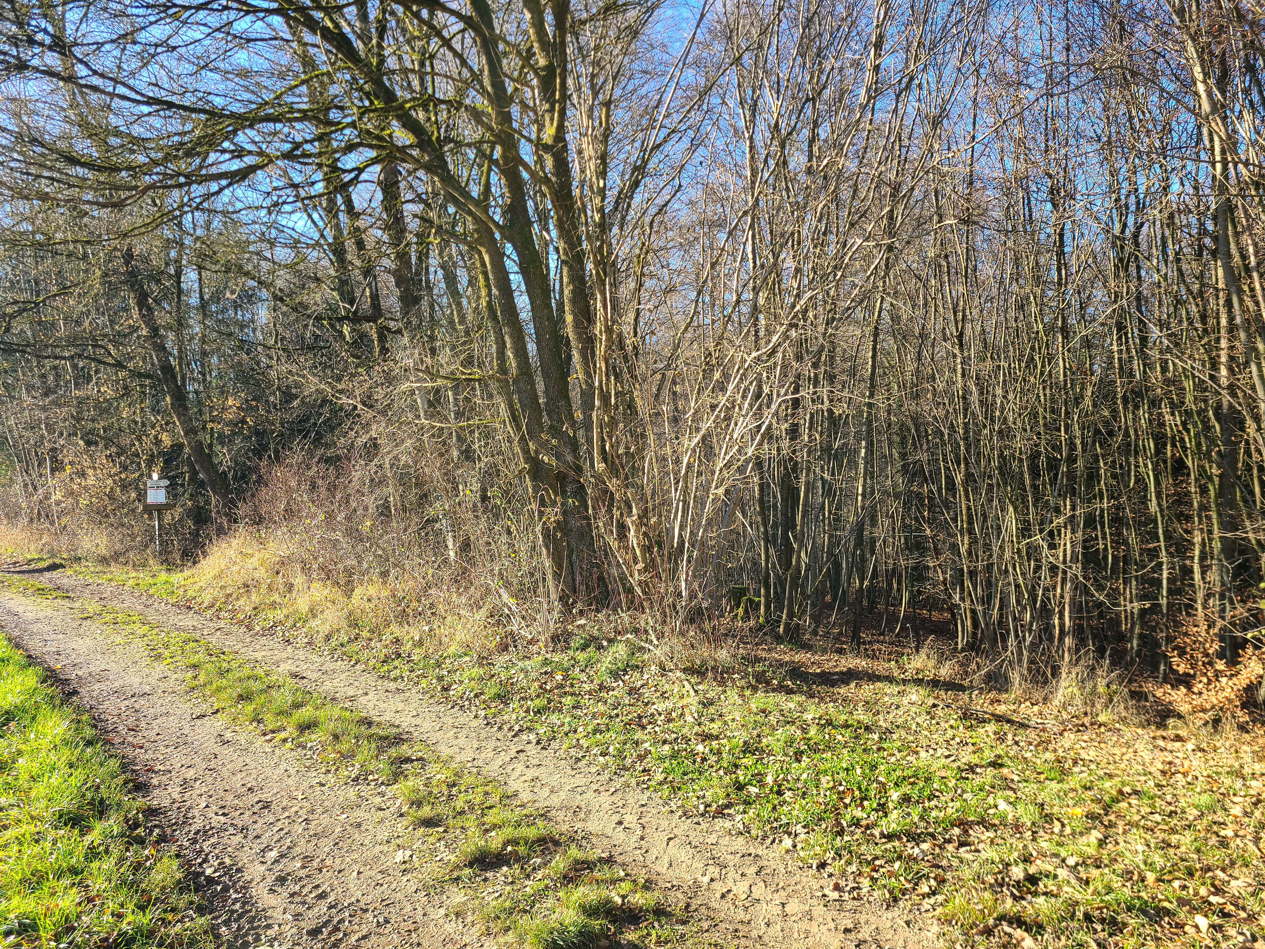 Abzweig zum Glatzenstein
