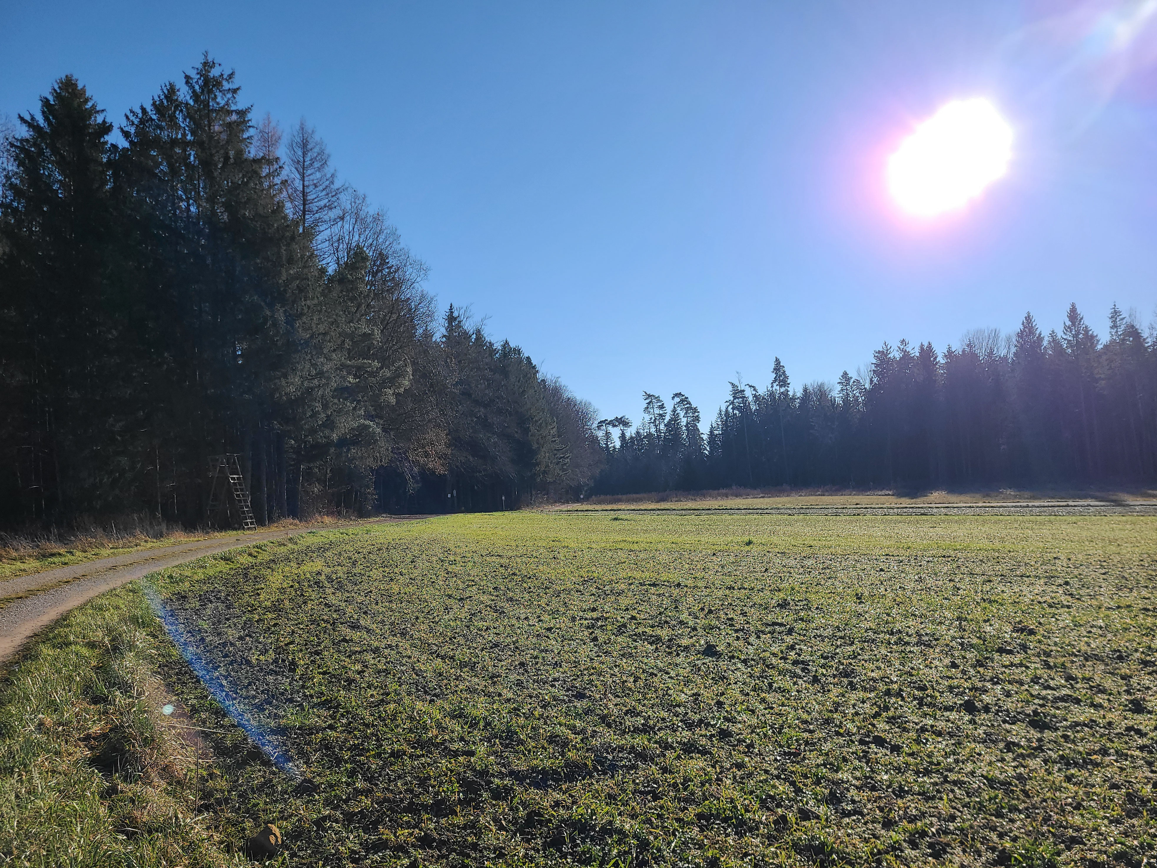 Straße Siegersdorf / Sittenbachtal