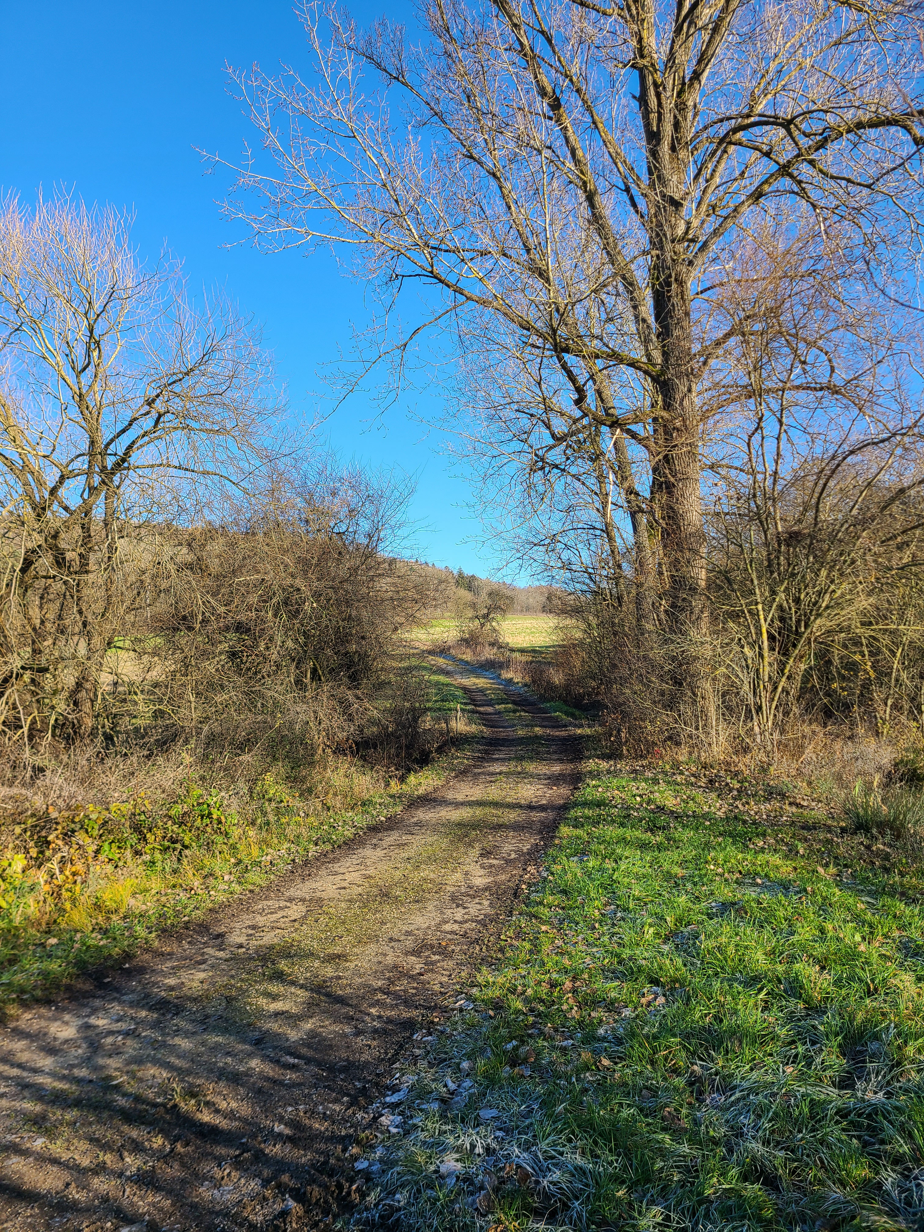 Abzweig am Weiher